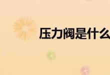 压力阀是什么（压力阀有几种）