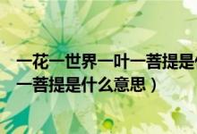 一花一世界一叶一菩提是什么歌里的歌词（一花一世界一叶一菩提是什么意思）