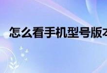 怎么看手机型号版本号（怎么看手机型号）