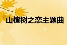 山楂树之恋主题曲（该片讲述了什么故事）