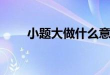 小题大做什么意思（小题大做解释）