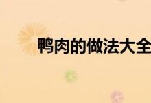 鸭肉的做法大全家常菜（学会了吗）