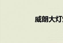  威朗大灯灯泡什么型号 