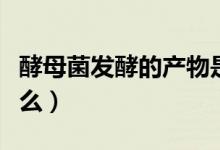 酵母菌发酵的产物是什么（酵母菌发酵产生什么）