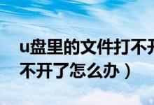 u盘里的文件打不开了咋办（u盘里的文件打不开了怎么办）