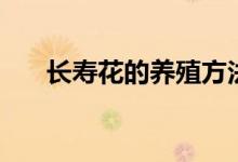 长寿花的养殖方法（长寿花怎么养殖）