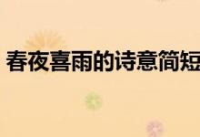 春夜喜雨的诗意简短（春夜喜雨的诗意赏析）
