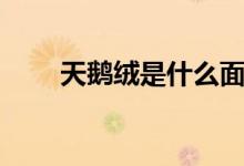 天鹅绒是什么面料（优缺点有哪些）