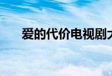 爱的代价电视剧大结局（你都了解吗）