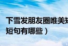 下雪发朋友圈唯美短句（下雪发朋友圈的唯美短句有哪些）