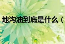 地沟油到底是什么（地沟油是怎么做出来的）