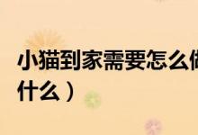 小猫到家需要怎么做（刚把小猫接回家需要做什么）