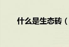 什么是生态砖（生态砖有什么种类）
