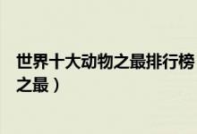 世界十大动物之最排行榜（动物的十大世界纪录动物的世界之最）