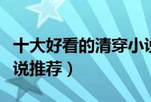 十大好看的清穿小说（清穿小说排行榜清朝小说推荐）