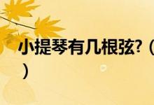 小提琴有几根弦?（小提琴几根弦分别是什么）