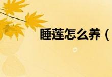 睡莲怎么养（睡莲的养殖方法）