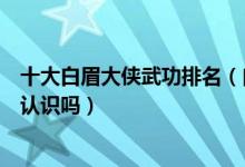十大白眉大侠武功排名（白眉大侠谁的武功最高这些人你都认识吗）