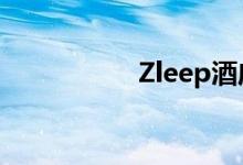  Zleep酒店在丹麦扩展 