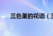 三色堇的花语（三色堇的花语是什么）