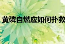 黄磷自燃应如何扑救（黄磷自燃应如何扑救）