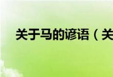 关于马的谚语（关于马的谚语简单介绍）