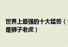 世界上最强的十大猛兽（十大猛兽真实战斗力排行第一名不是狮子老虎）