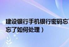 建设银行手机银行密码忘了怎么办（建设银行手机银行密码忘了如何处理）