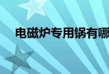 电磁炉专用锅有哪些（电磁炉用什么锅）