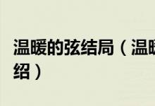 温暖的弦结局（温暖的弦大结局简介和详情介绍）