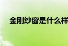 金刚纱窗是什么样的（金刚纱窗好不好）