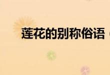 莲花的别称俗语（莲花的别称有哪些）