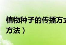 植物种子的传播方式有哪些（植物传播种子的方法）