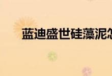 蓝迪盛世硅藻泥怎么样（有什么特点）
