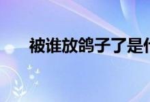 被谁放鸽子了是什么意思（鸽子介绍）