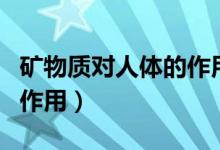 矿物质对人体的作用及功能（矿物质对人体的作用）