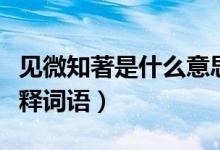 见微知著是什么意思（见微知著是什么意思解释词语）