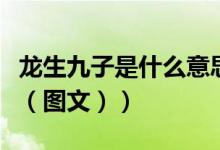 龙生九子是什么意思呢（龙生九子是什么意思（图文））