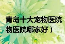 青岛十大宠物医院（青岛动物医院排名青岛宠物医院哪家好）