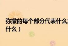 弥撒的每个部分代表什么意思（弥撒的每个部分代表意思是什么）
