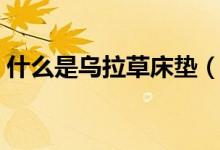 什么是乌拉草床垫（乌拉草床垫容易生虫吗）