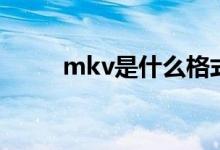 mkv是什么格式（mkv格式介绍）