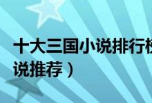 十大三国小说排行榜（三国小说大全三国类小说推荐）