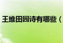 王维田园诗有哪些（王维田园诗原文及翻译）