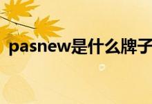 pasnew是什么牌子（pasnew是什么牌子）