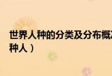 世界人种的分类及分布概况（全球划分为几大人种你属于哪种人）
