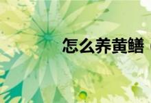 怎么养黄鳝（黄鳝养殖技术）