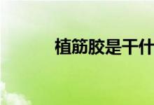 植筋胶是干什么用的（怎么用）