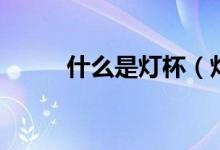 什么是灯杯（灯杯怎么自己安装）