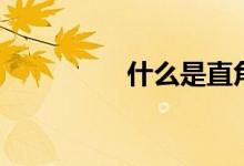 什么是直角尺（怎么用）